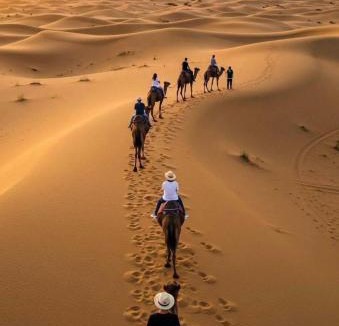 Lac Yasmins Other | Desert Camel Trekking Camp