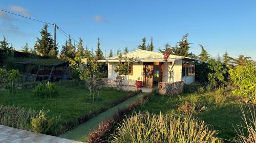 Sidi Lyamani Villa | jnan Lemonie