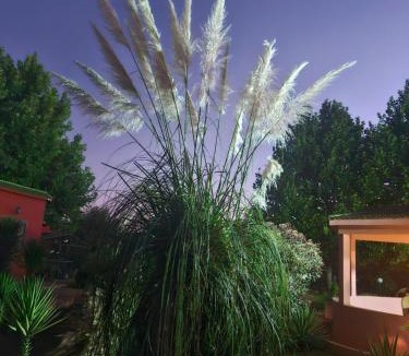 Ait Naamane House | Casa Sofia