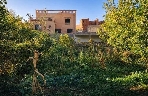 Ait Sedrate Jbel El Soufla House | Chez BABAYO BY DADES