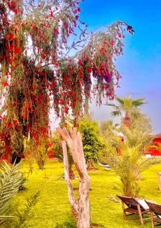 District of Sidi Youssef Ben Ali Bed & Breakfast | Domaine JJ Marrakech