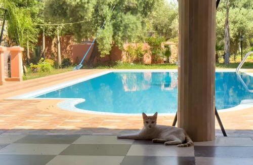 Tamazouzte Villa | Beautiful Villa with Private Pool & Garden