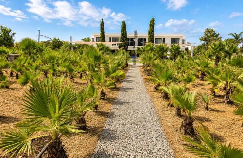 Soualem Trifiya House | Villa Palm Oasis Dar Bouazza 300m2 Piscine 3 suites - 4 chambres - HomeCity Signature Casablanca