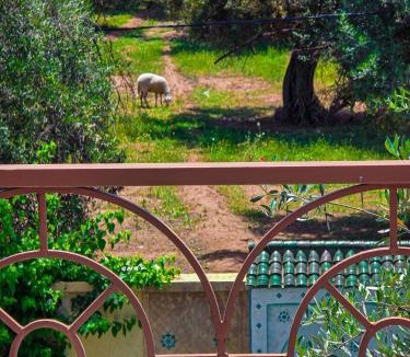 Tnine Ourika Villa | Villa Atlas Zitoun Ourika