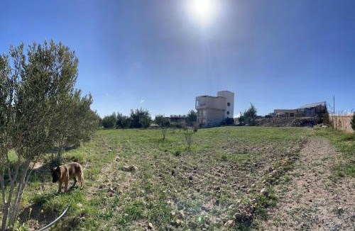 Tidzi Apartment | Farm Stay with Animals & Stunning Views Essaouira