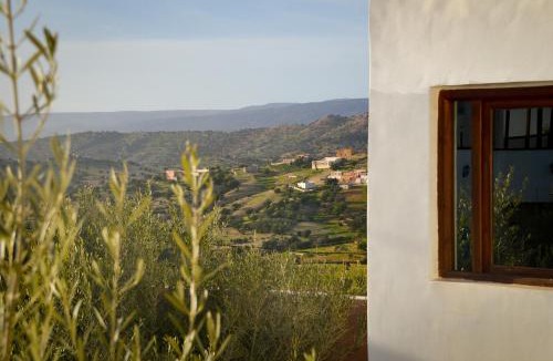 Taghazout House | Single fin taghazout surf & stay