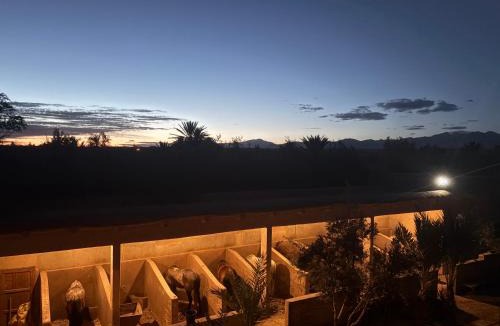 Skoura House | Skoura Ranch Palm Grove