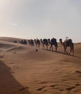 M'Hamid El Ghizlane Other | Iriki Desert Camp Foum Zguid