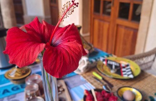 Medina Bed & Breakfast | Riad de l'Audeline