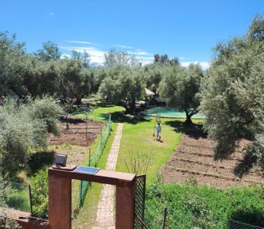 Ait Azzi House | Salix d'agafay