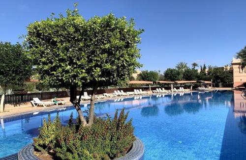 Palmeraie Apartment | Two Bedroom Garden Apartment in Palmeraie 2