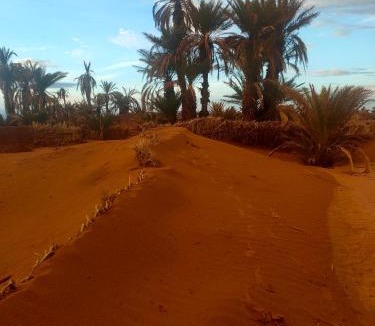M'Hamid El Ghizlane Apartment | Morocco travel tours