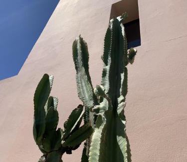 Ghazoua House | Dar Almajula