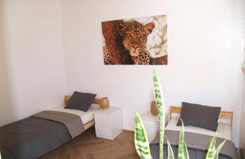 Tamraght Hotel | Dar Makai Surf Hotel