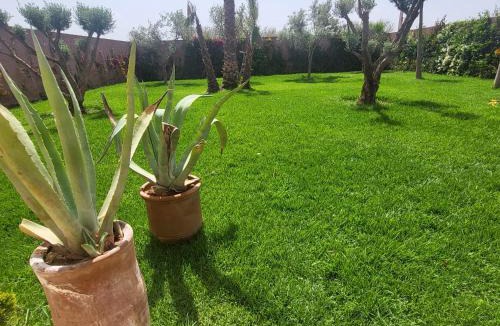 El Aggada Villa | Dar Sofia Villa