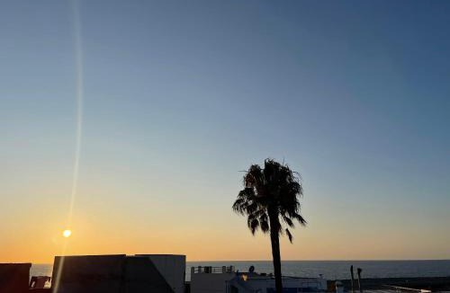 Medina House | Dar Yema