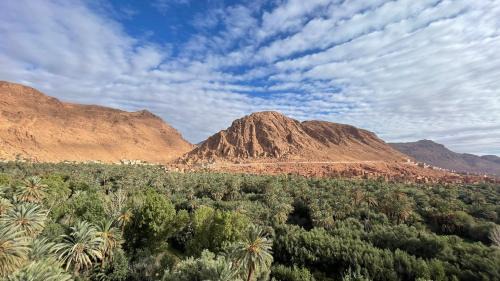 Toudgha El Oulia House | Guesthouse Panorama Todra