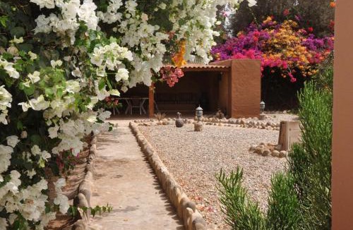 Massa House | La Palmeraie De Massa