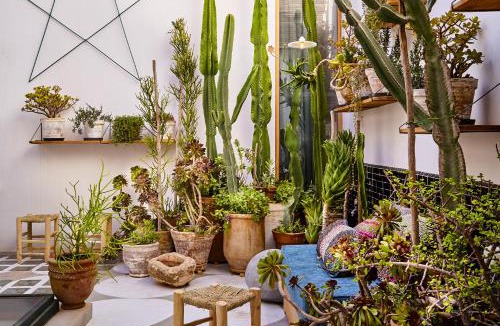 Kasbah House | Casa.b Mogador