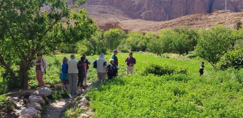 Toudgha El Oulia Hotel | La Petite Gorge, Hôtel & Restaurant Todra Gorge