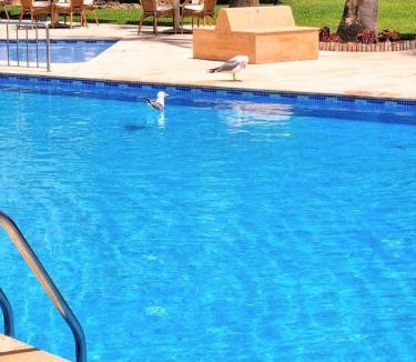 Tangier Hotel | El Oumnia Puerto & Spa