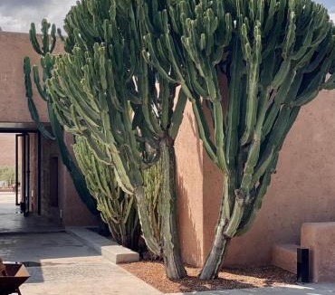 Oumnass Villa | Villa K by Studio KO - Private Luxury Estate Marrakech