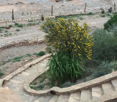 Toudgha El Oulia Hotel | Auberge Le Festival Todra Gorge