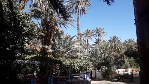 Toudgha El Oulia Hotel | RIAD Camping ATLAS