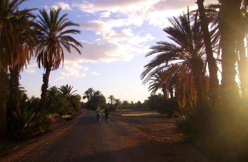 M'Hamid El Ghizlane Hotel | Mhamid Auberge Saharaespace