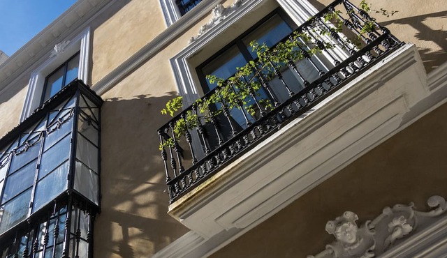Pájaro Rebelde in Seville