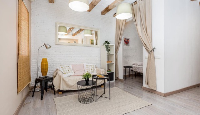 Wake in a luminous, chic and ideally located flat, surrounded by the magic of Barcelona in Barcelona