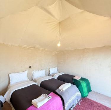 Camels House