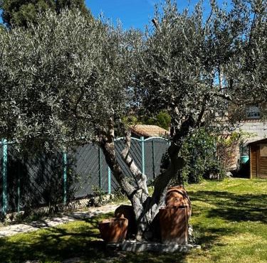 Amplio y Cómodo chalet a 15 minutos del centro con piscina y pistas de tenis in Zaragoza