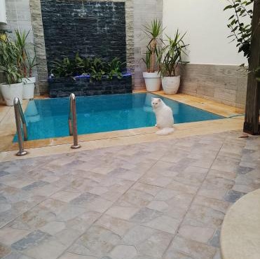 Villa Harmonie - Suite Familiale avec Piscine