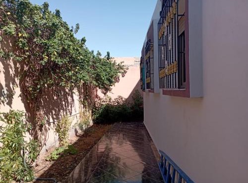 Kaltouma