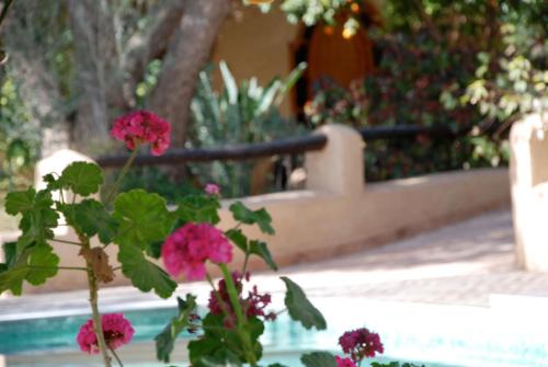 Hotel Dar Zitoune Taroudant