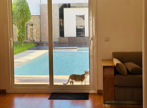Villa luxueuse avec piscine à Tanger