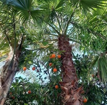 Weedan Hotel & Spa Marrakech