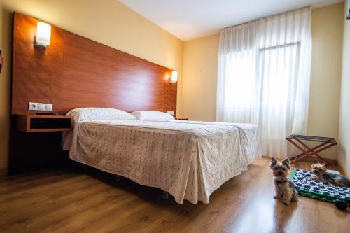 Pension Viella Asturias in Viella