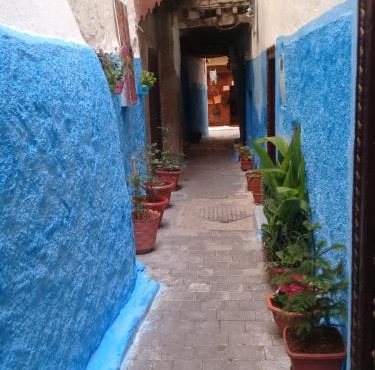 Dar Saida