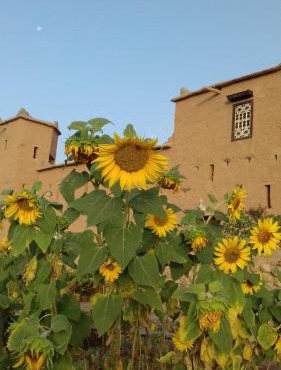 Kasbah Izoran